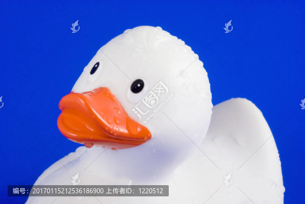 覆蓋有水滴的橡膠鴨。