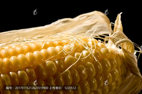 玉米