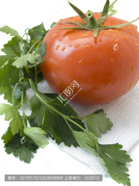 番茄和香菜