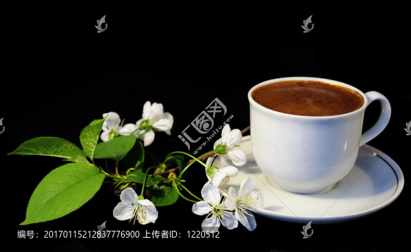 鮮花和白一杯咖啡