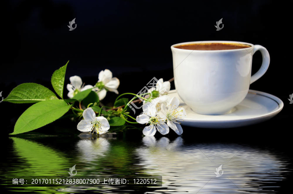 櫻桃和白咖啡的花