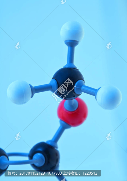 分子