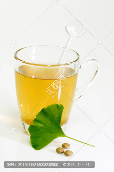 gingkotea