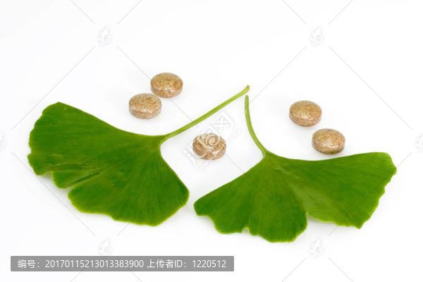 葉子和丸