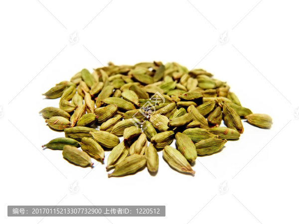 茴香