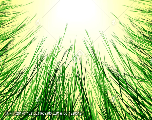 太陽草