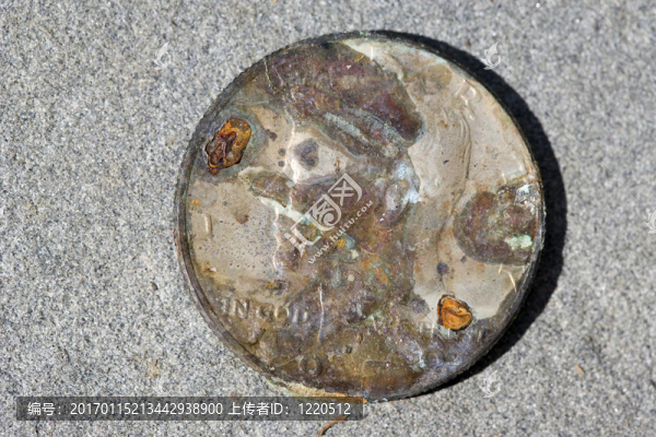 卡特麗娜硬幣正面