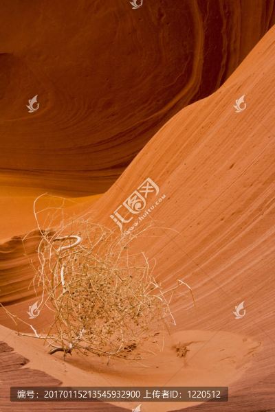 下羚羊峽谷