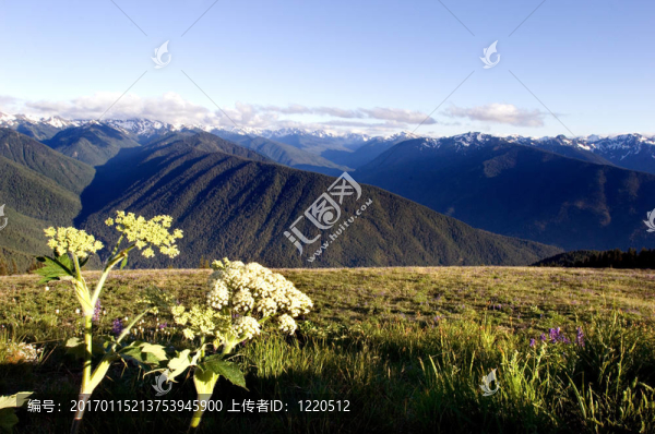 山脈