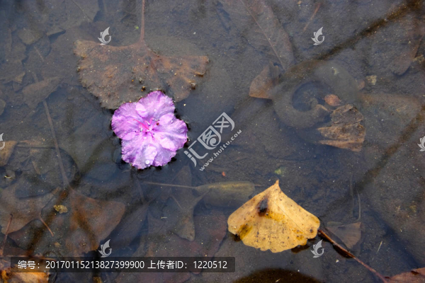 浮花。