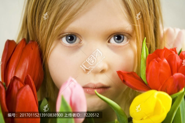 女孩，TULPs