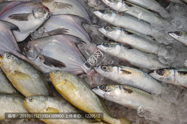 展出海鮮。