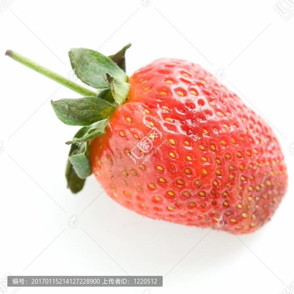 草莓