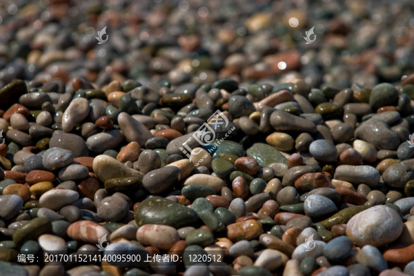 海pebblees