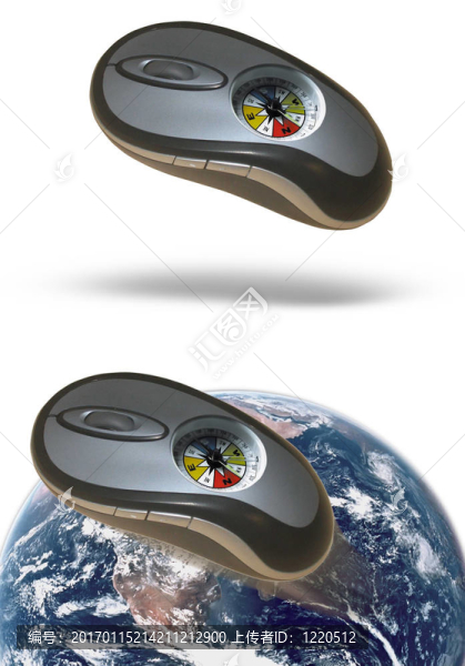世界上有指南針的老鼠