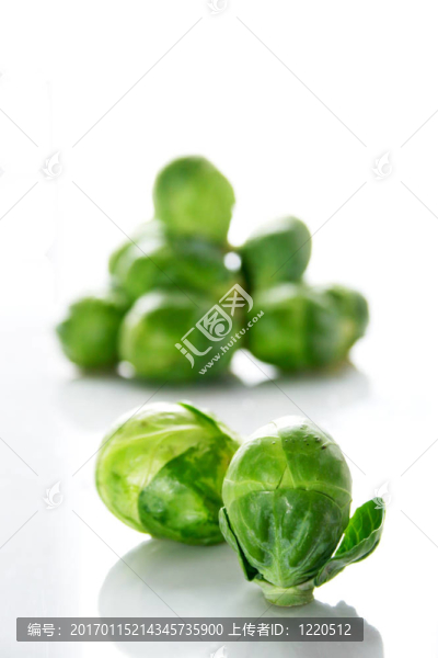 布魯塞爾萌芽
