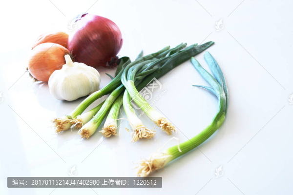 洋蔥家族