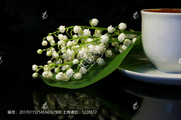花和白一杯黑咖啡