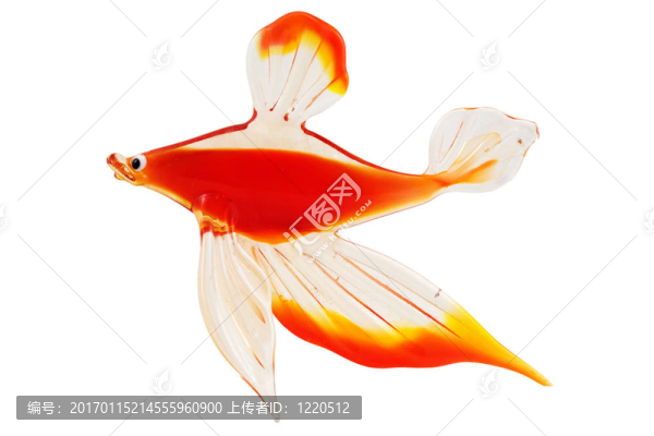 白色背景玻璃金魚