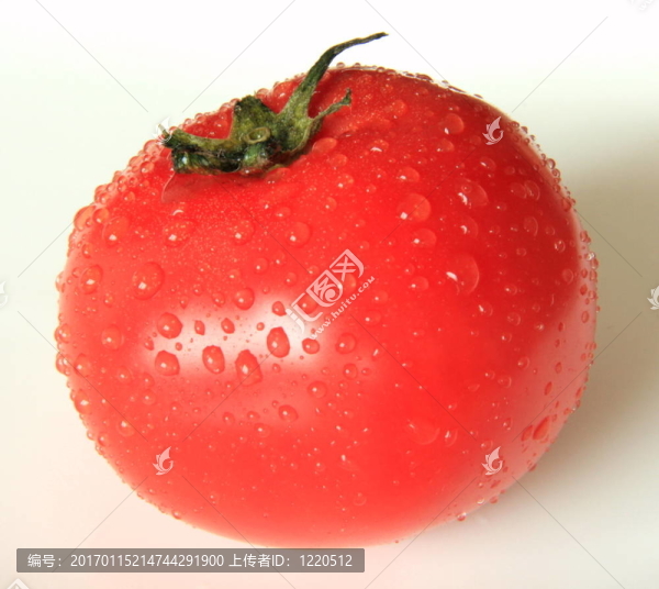 番茄