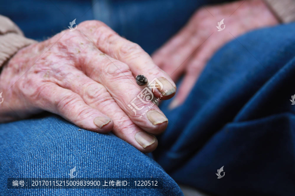 老Man,Smokes,Cigarette