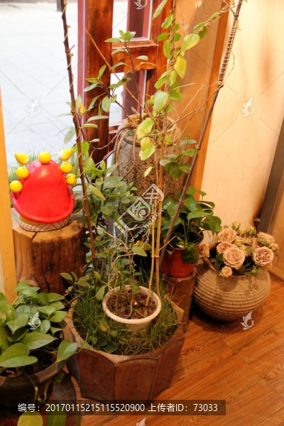 干花