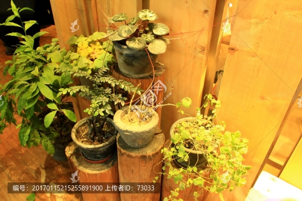 干花