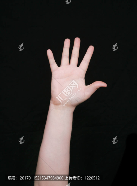 符號(hào)語(yǔ)言數(shù)五
