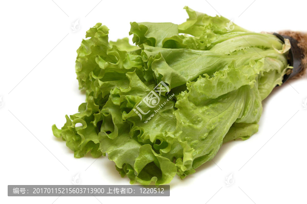 新鮮的生菜