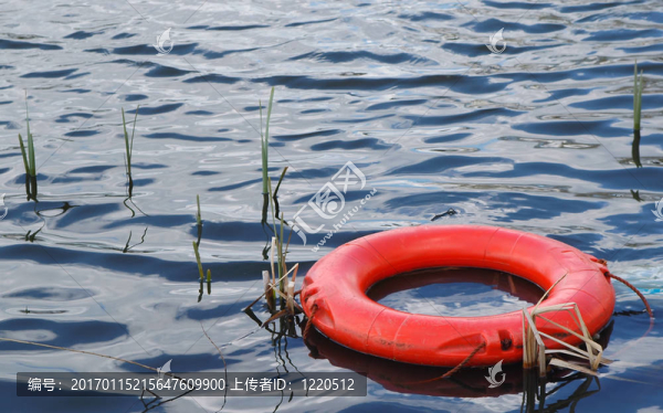 生存-匯圖網(wǎng) www.fosd68.com 生存