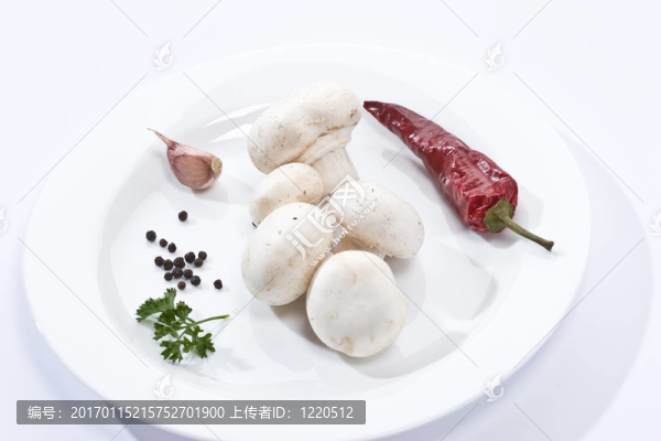 蘑菇