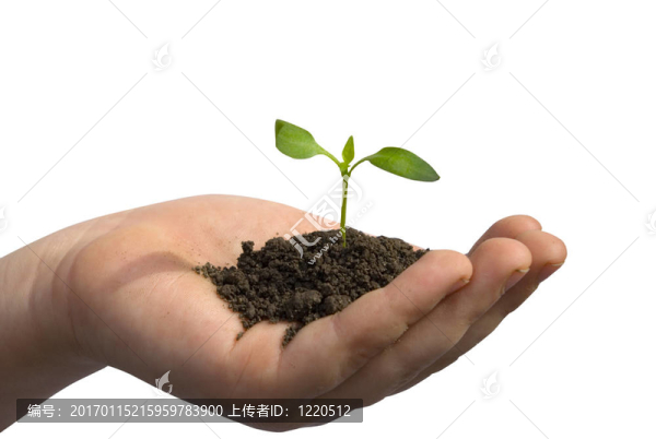 植物在手