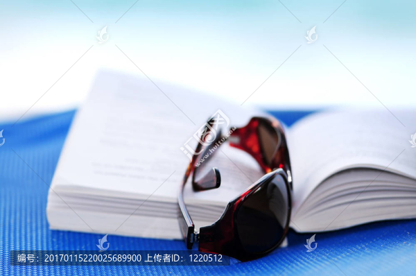 太陽眼鏡和書在沙灘椅上