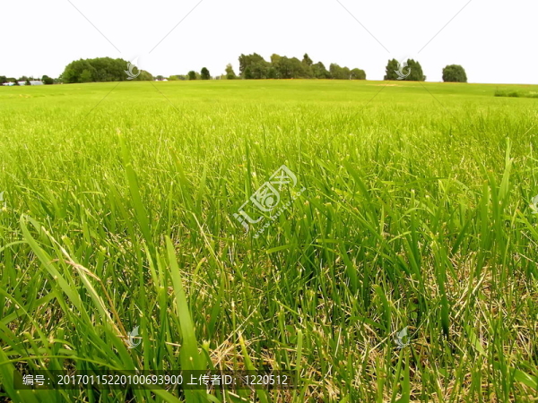 夏天的風(fēng)景-匯圖網(wǎng) www.fosd68.com 夏天的風(fēng)景