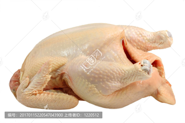 生的家禽