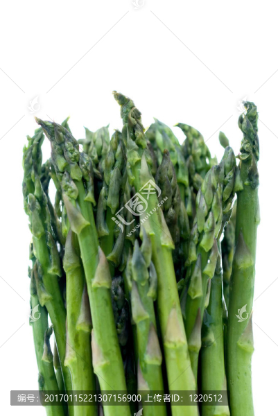 鮮蘆筍白