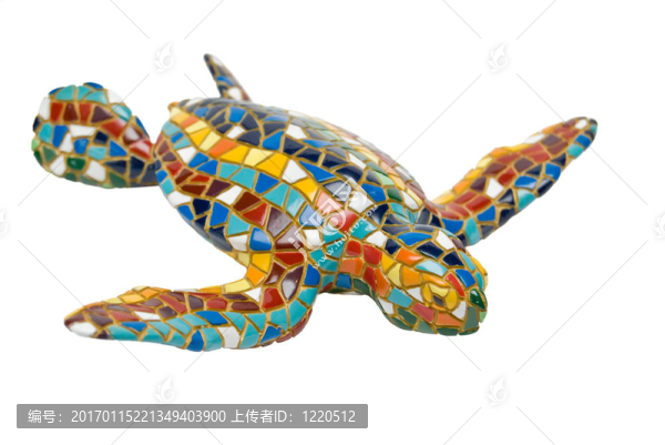 五顏六色的烏龜
