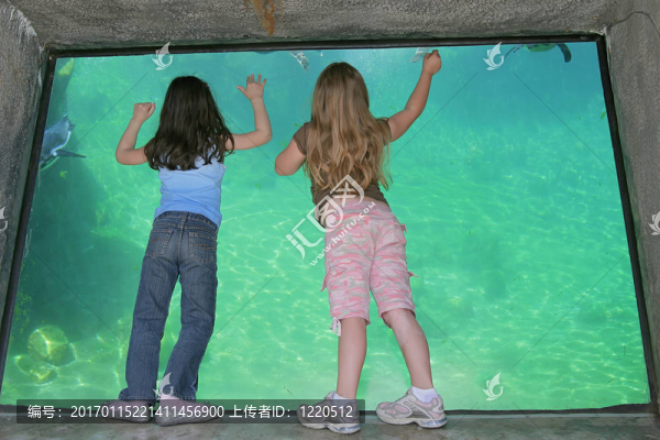 兩個年輕女孩的水族館