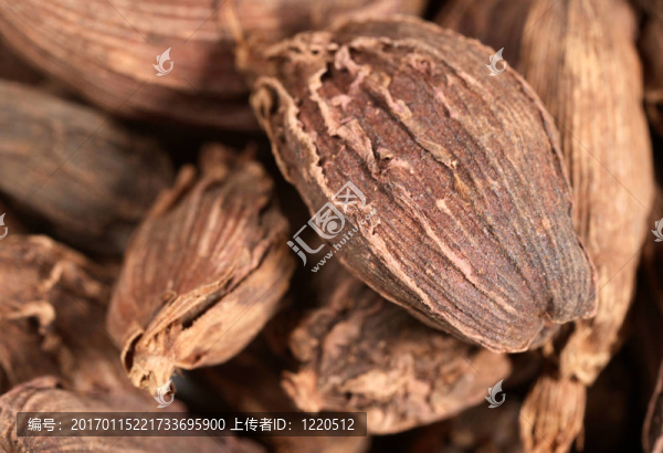 黑豆蔻