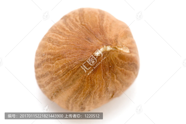 榛子的宏
