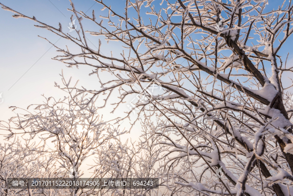 雪,雪景,白雪,仰天山風(fēng)光,冬