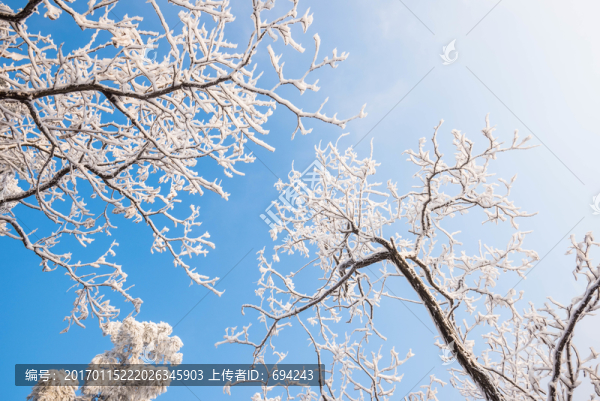 雪,雪景,白雪,仰天山風光,冬