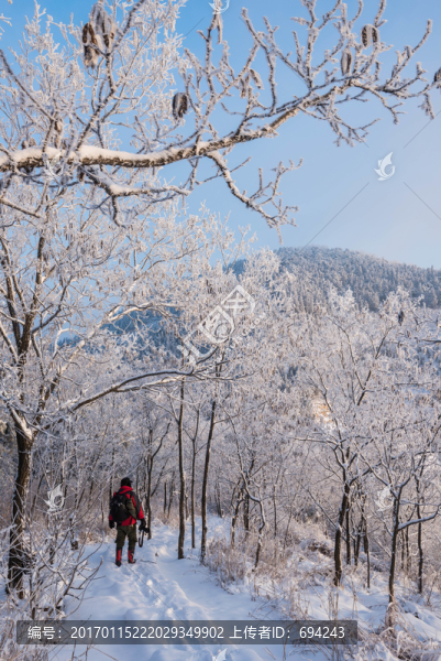 雪,雪景,白雪,仰天山風(fēng)光,冬