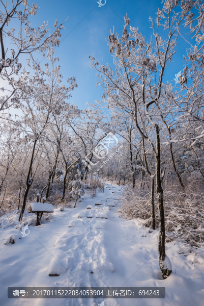 雪,雪景,白雪,仰天山風光,冬