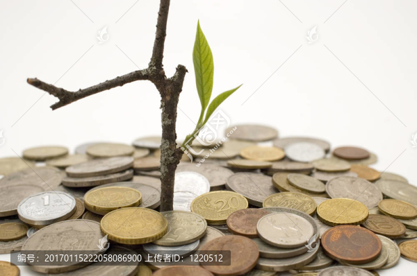 金融成長：概念形象。