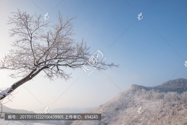 雪,雪景,白雪,仰天山風(fēng)光,冬