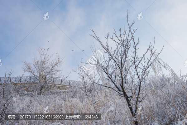 雪,雪景,白雪,仰天山風(fēng)光,冬