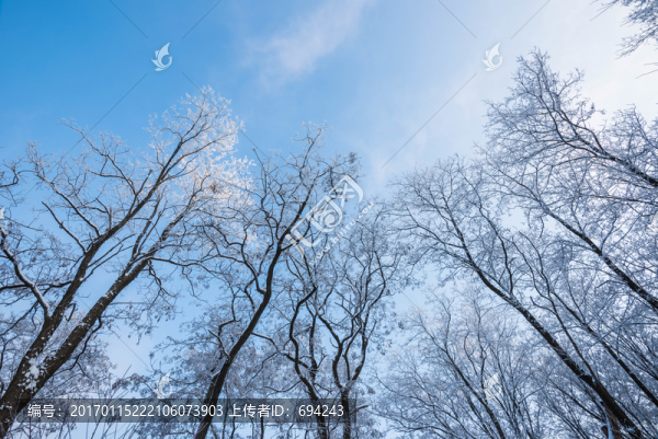 雪,雪景,白雪,仰天山風(fēng)光,冬