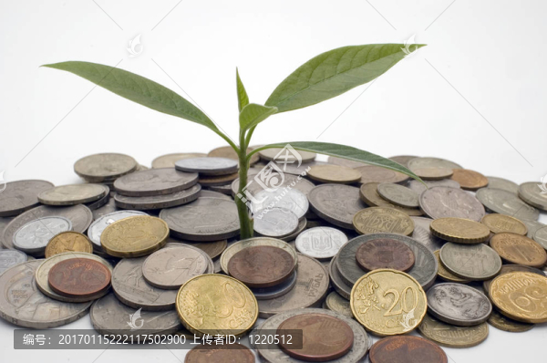 金融成長(zhǎng)：概念形象。