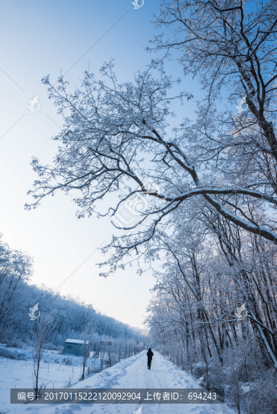 雪,雪景,白雪,仰天山風(fēng)光,冬